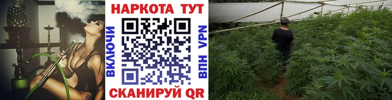 Где можно купить наркотики Кашин Канабис COCAIN Alpha PVP ГАШ