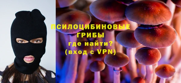 сатива Алексин