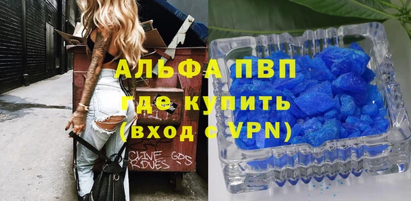прущие грибы Покачи
