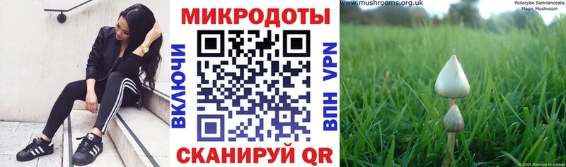 Псилоцибиновые грибы GOLDEN TEACHER  Кашин 